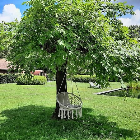 B&B De Levensboom Tessenderlo エクステリア 写真