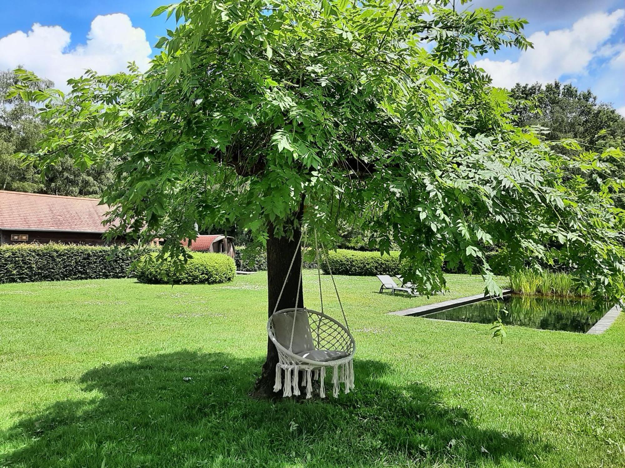 B&B De Levensboom Tessenderlo エクステリア 写真