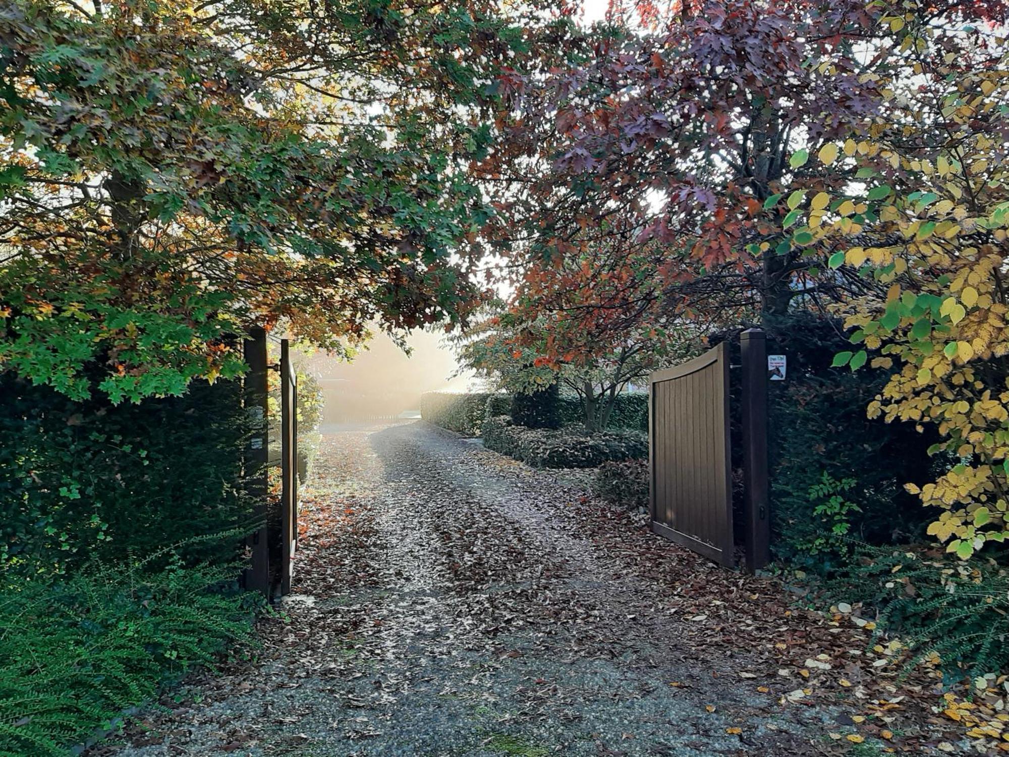 B&B De Levensboom Tessenderlo エクステリア 写真